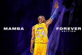开云体育官网-赛场风云，辽宁队完胜篮网，NBA季后赛焦点战启示录