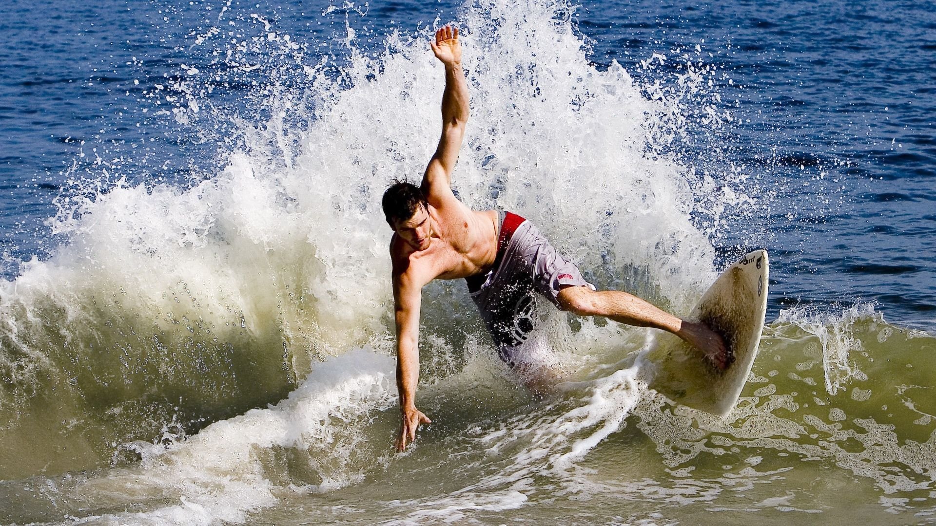 魔术末节带走黄蜂，福克斯打出生涯之夜，当魔法照进现实