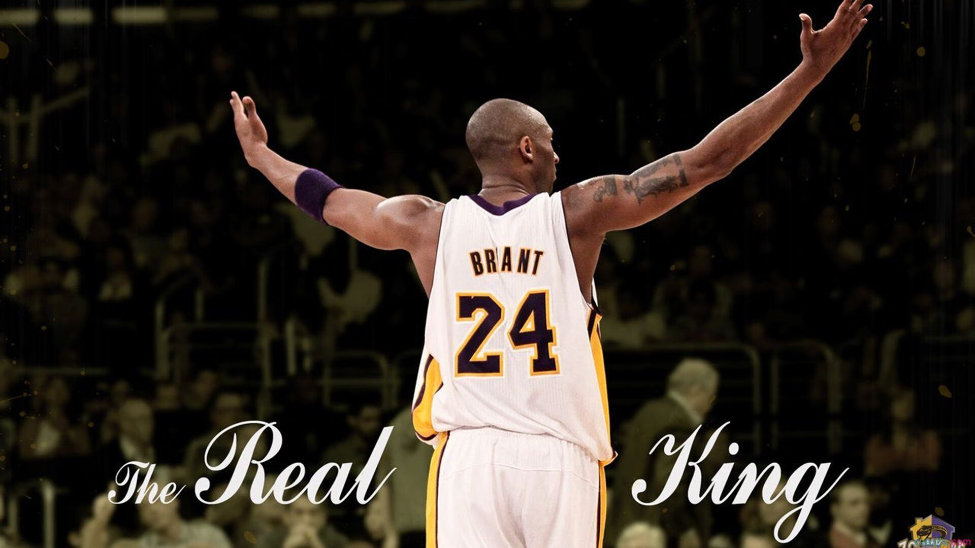 太阳打穿开拓者，布伦森数据全面爆炸，小个子巨星的逆袭启示录